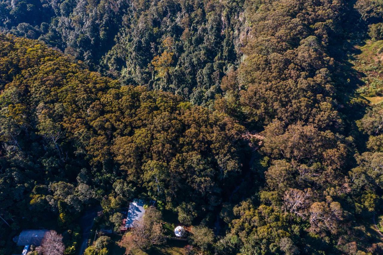 Purling Brook Falls Gwongorella Springbrook Exterior foto