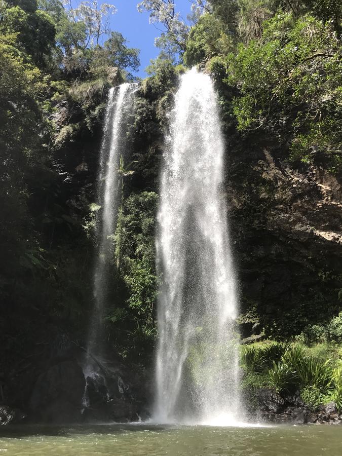 Hotel Purling Brook Falls Gwongorella Springbrook Exterior foto