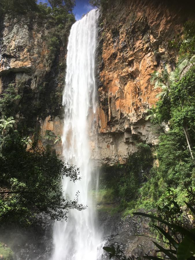 Hotel Purling Brook Falls Gwongorella Springbrook Exterior foto